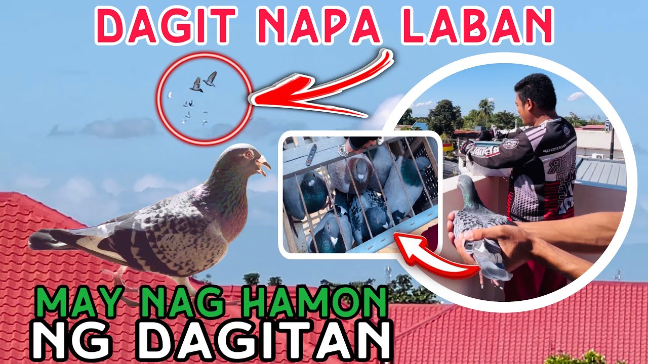 EP490 - DAGIT HINAMON NG DAGITAN! GANDA NG LABAN!