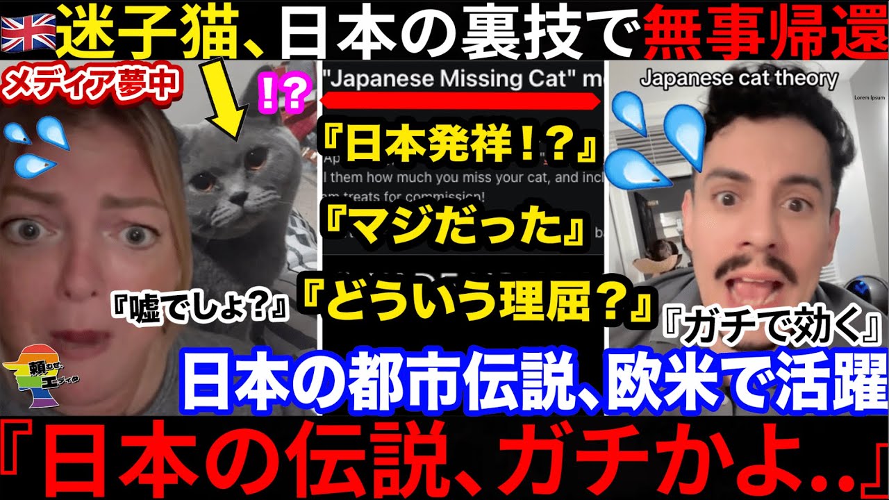 🇬🇧『日本のおかげで愛猫が帰ってきた❤️』🇯🇵裏技が欧米で流行る→ガチで効いて大手メディアでも報道される事態へw