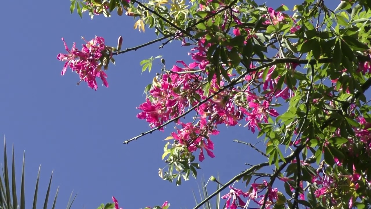Jardin Secret - Sekretny Ogród w Marrakeszu