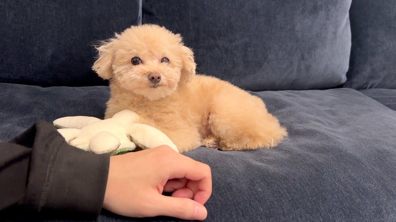 との君と喧嘩しました。