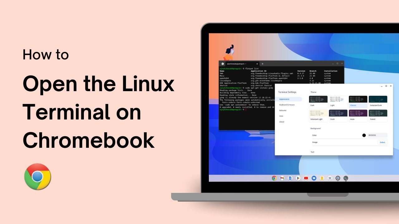 How to Open the Linux Terminal on Chromebook