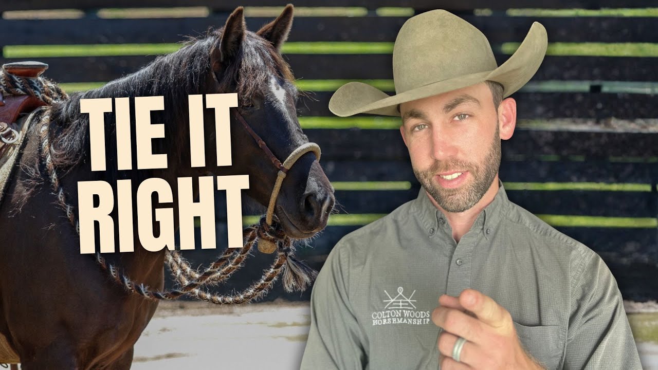 How to Tie Reins onto the Bosal or Hackamore | Quick, Easy, Functional | Horse Training