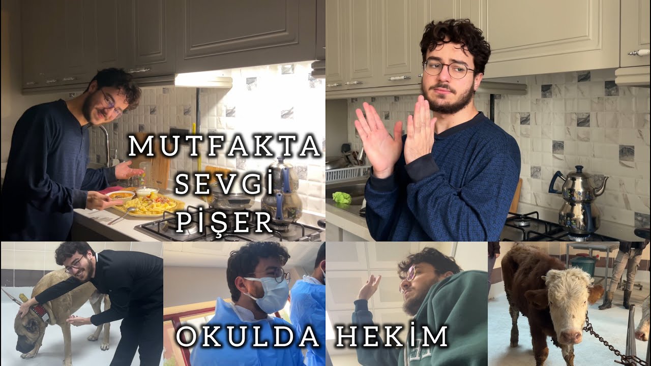 Veteriner fakültesi öğrencisi olarak 3 günüm | VLOG
