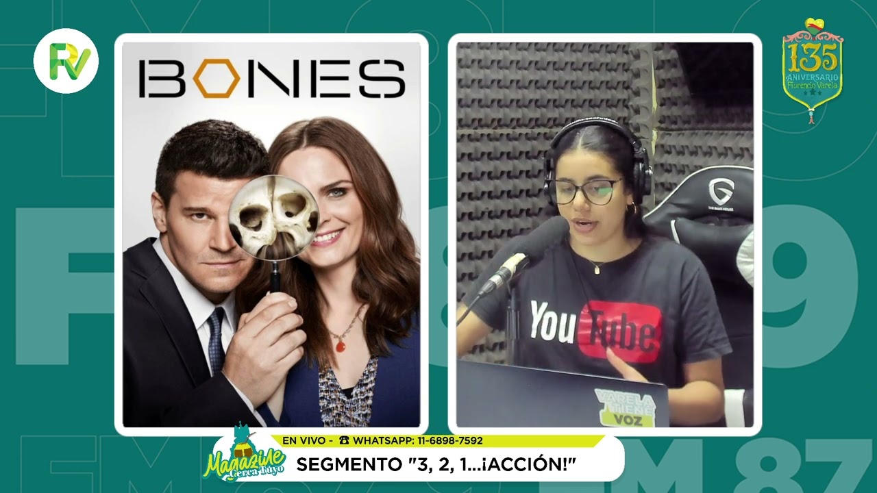 Segmento 