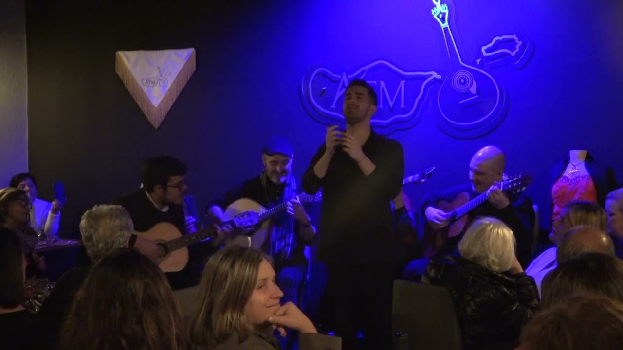 Pedro Ferreira Fado   Noite