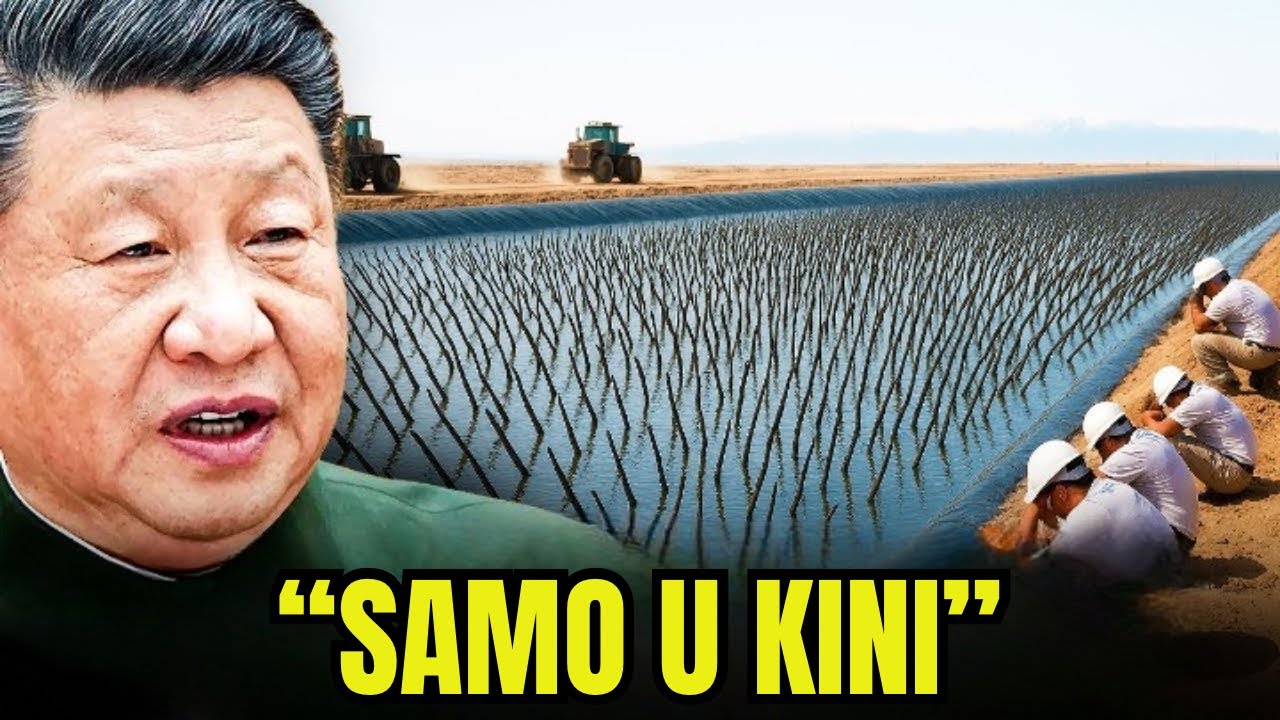 Svi Su Se Smijali Kini Zbog Eksperimenta S Biljkama Iz Pustinje… 10 Godina Kasnije Su Zažalili