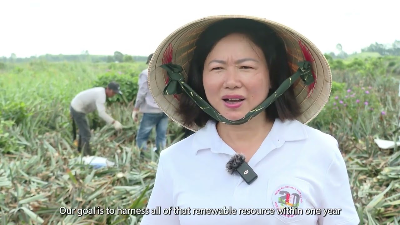 SỰ THẬT VỀ VIỆC ĐỐT LÁ DỨA & GIẢI PHÁP CỦA VIETFIBER