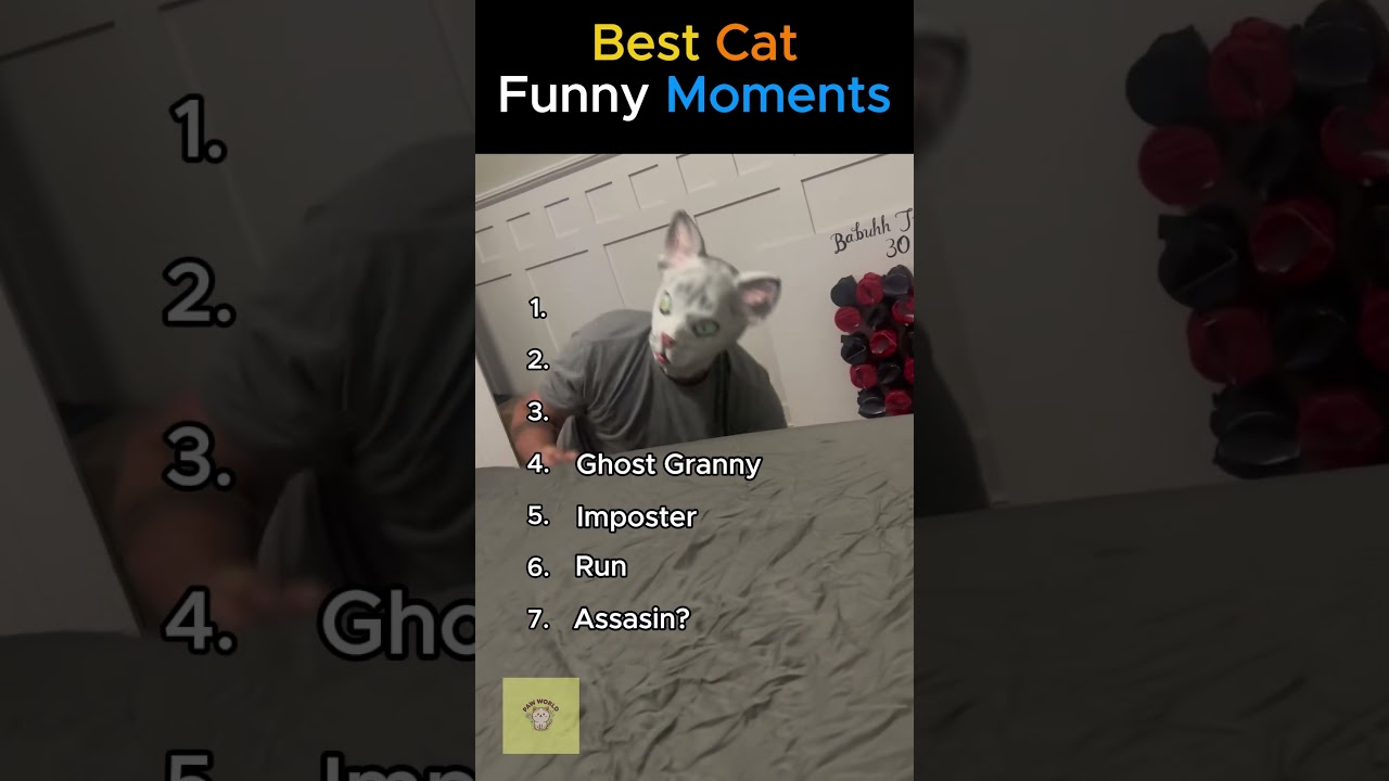 Ranking The Funniest Cat Reactions (Part 2) #shorts #ranking #cats