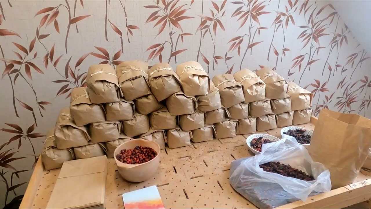 Заключительное видео для, жителей Калининградской области. 