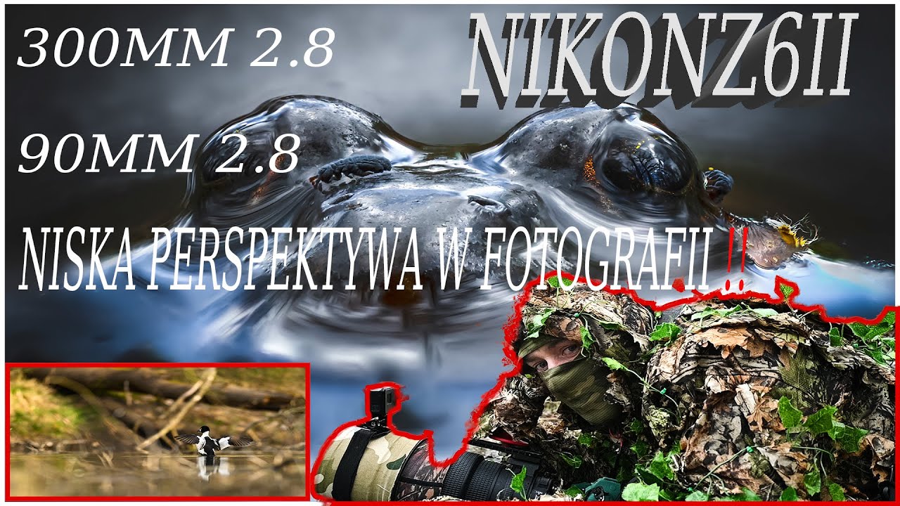 FOTOGRAFOWANIE W LESIE ODRZAŃSKIM / @NikonEurope / #nikonz6ii / #fotografiaprzyrodnicza / #300mm