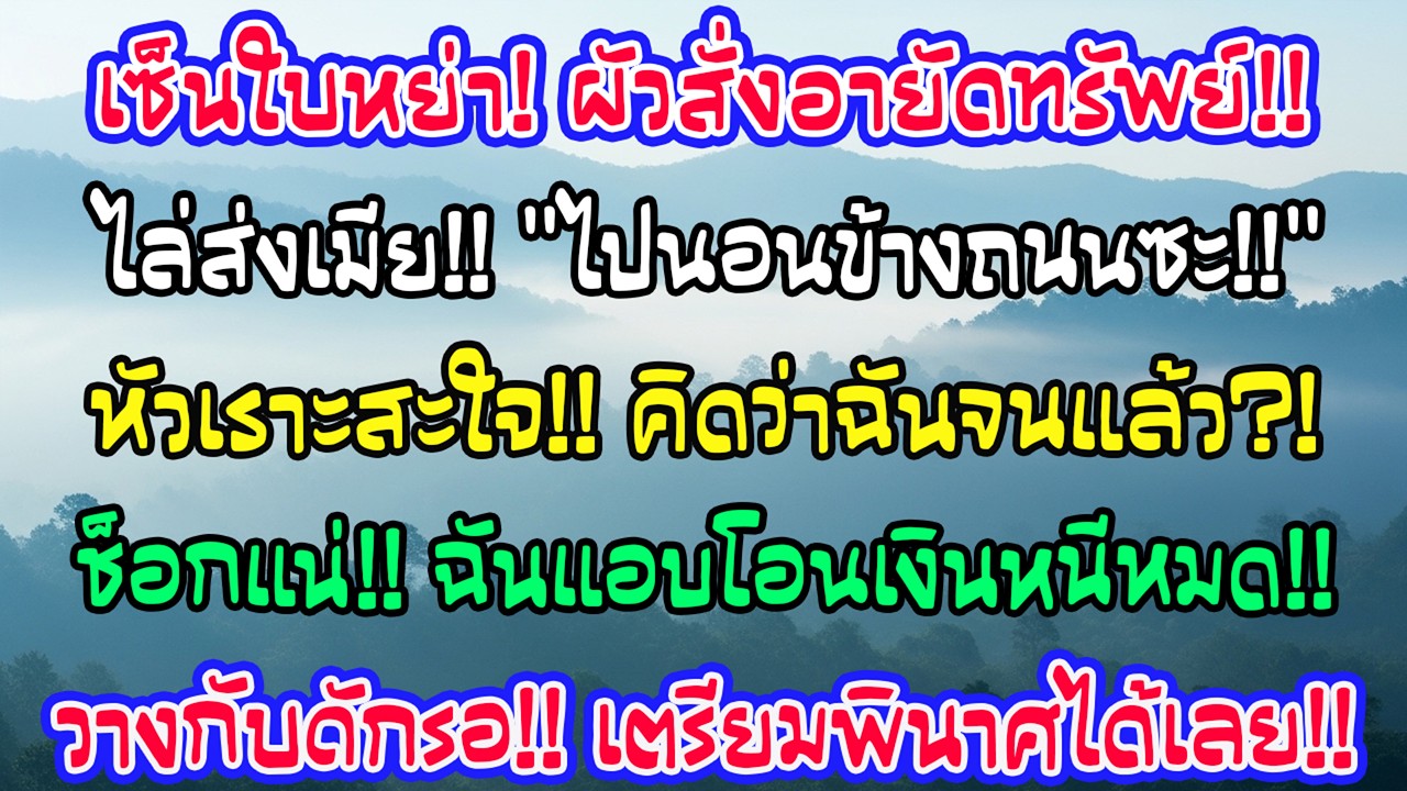 รับใบหย่าเขาอายัดทรัพย์ทั้งหมด เย้ยให้ออกไปอยู่ข้างถนน แต่ไม่รู้ว่าฉันโอนเงินก่อนและวางกับดักแล้ว