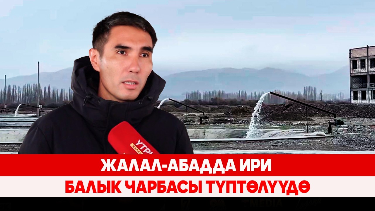 Жалал-Абадда ири балык чарбасы түптөлүүдө