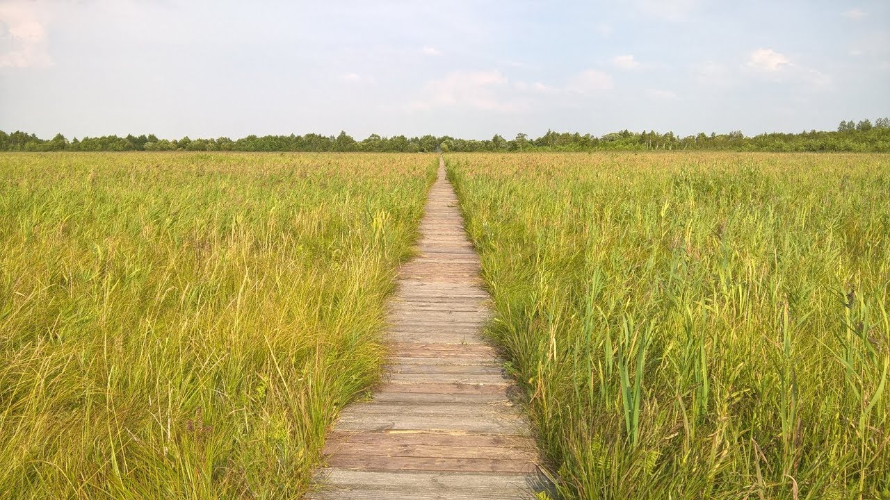 Green Velo - Dzień VII: Augustów - Laskowiec