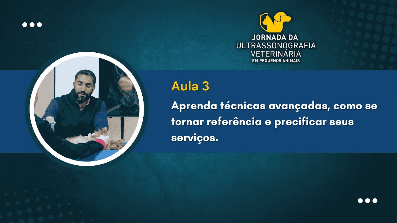AULA 3: Aprenda técnicas avançadas, como se tornar referência e precificar seus serviços