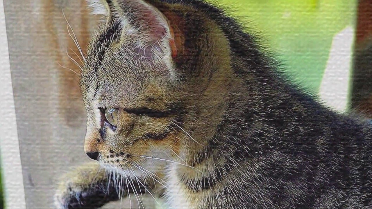 願ひごと－公園於／稲葉喜美子