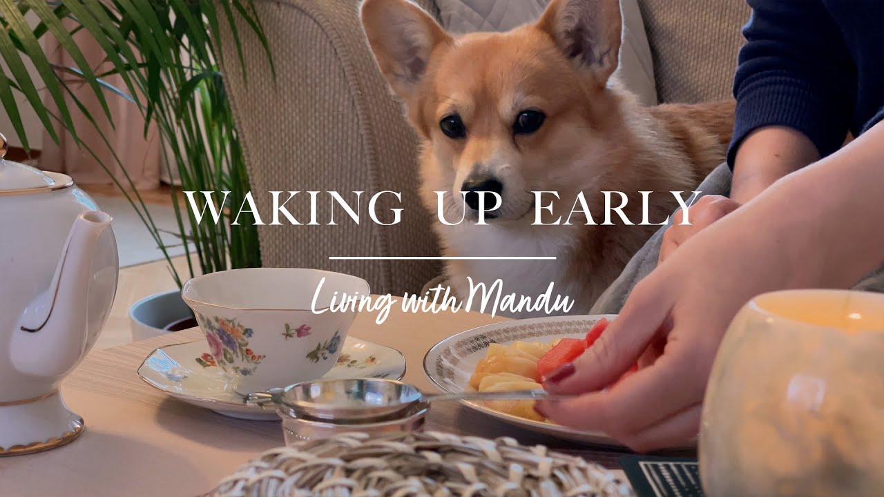 Waking up early on a rainy day 🌧️ | Clean with me