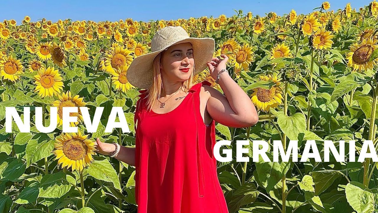 Laguna Blanca, El Caribe Paraguayo, Campos de Girasoles 🌻 en Paraguay 🇵🇾