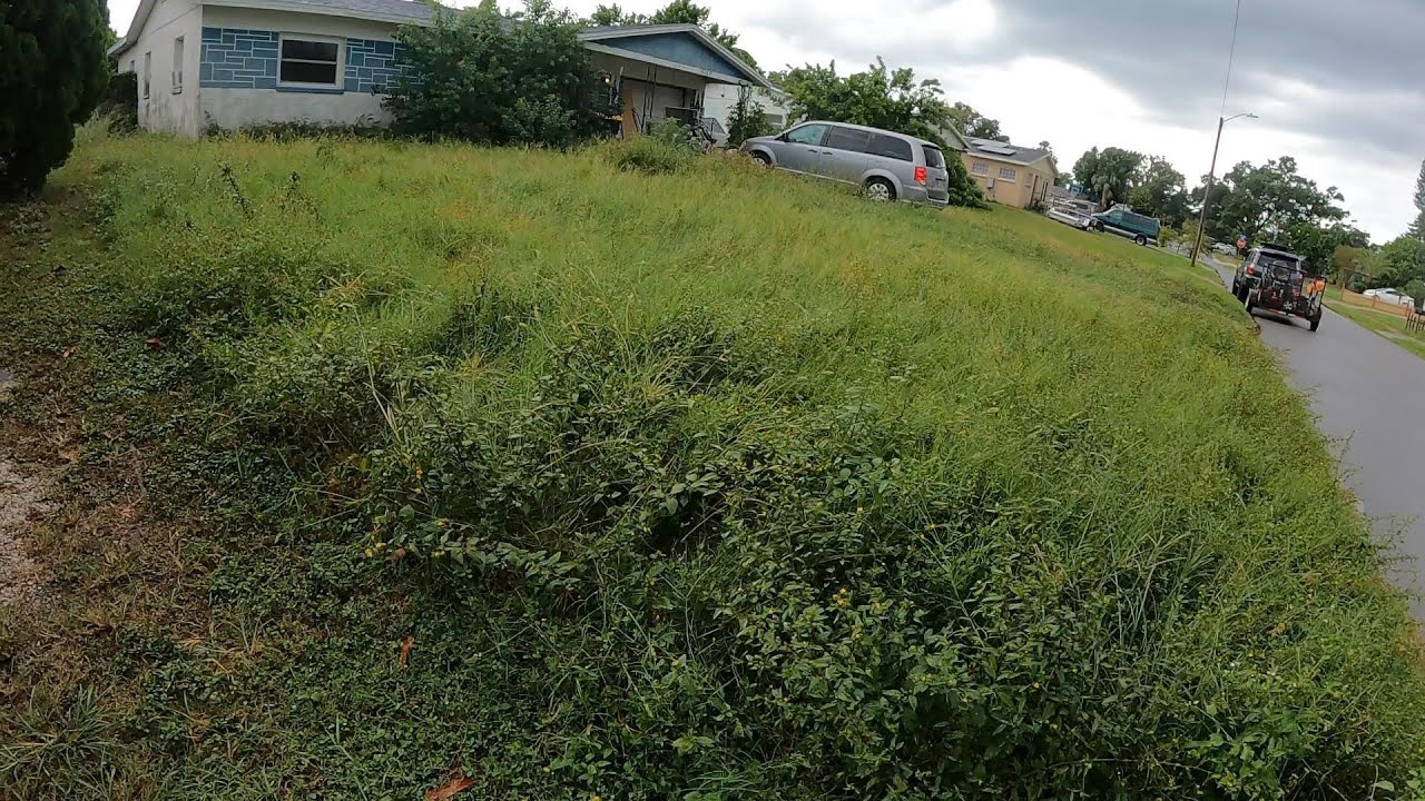 Lady paid for service and they never showed up,the rain made it harder. #lawncare #lawn #landscaping