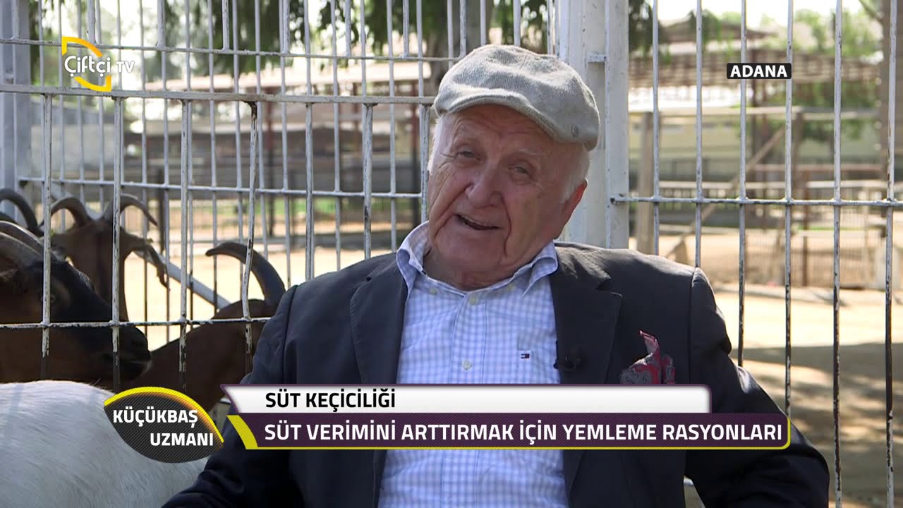 Küçükbaş Uzmanı-Süt Keçiciliği