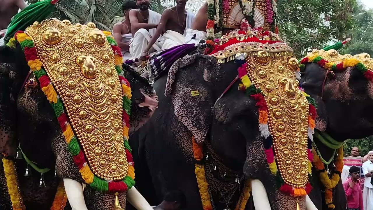 Thiruvankulam Shiva Temple Ulsavam February 2026  തിരുവാങ്കുളം മഹാദേവ ക്ഷേത്രത്തിലെ ഉത്സവം