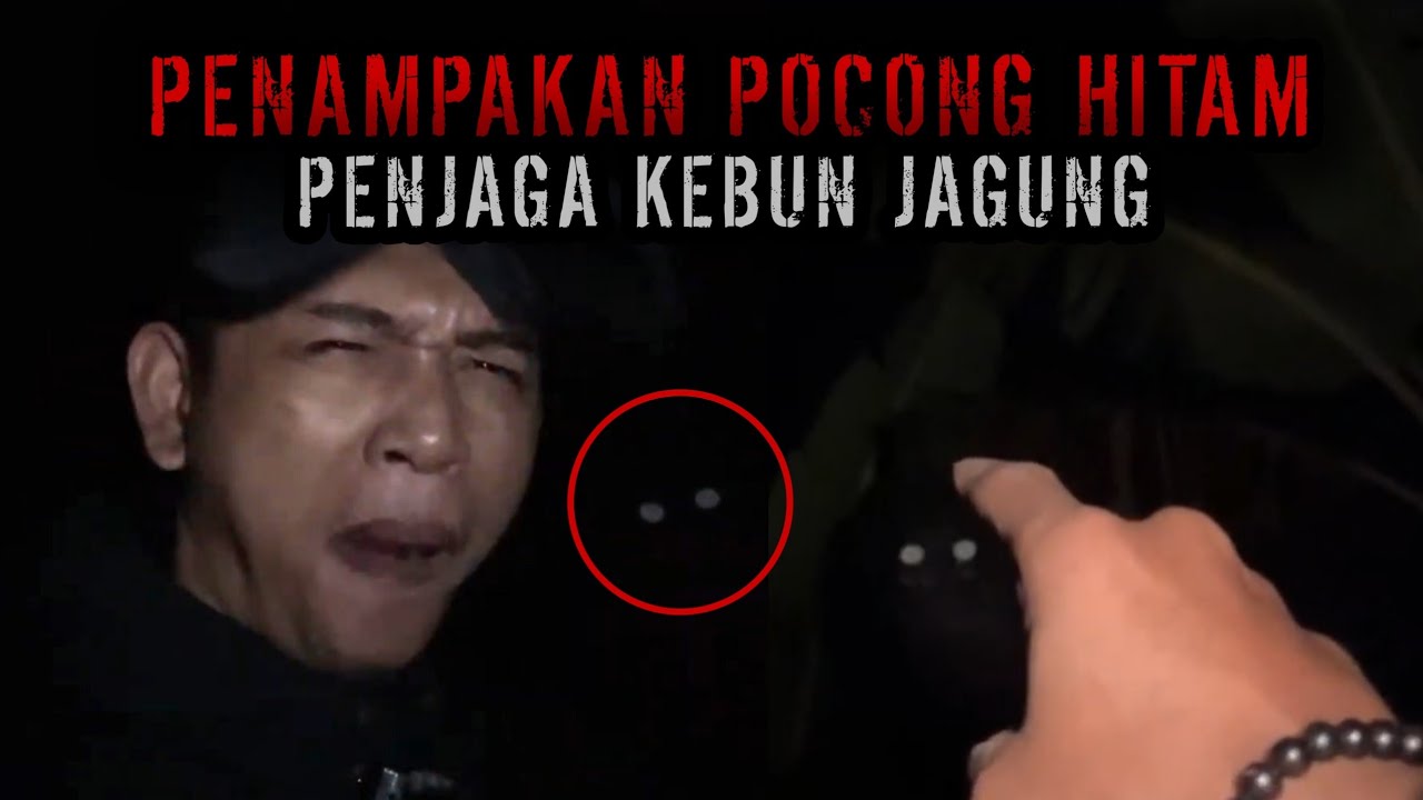 Live misteri malam ini‼️POCONG HITAM PENUNGGU JALAN KAMPUNG TENGGELAM‼️