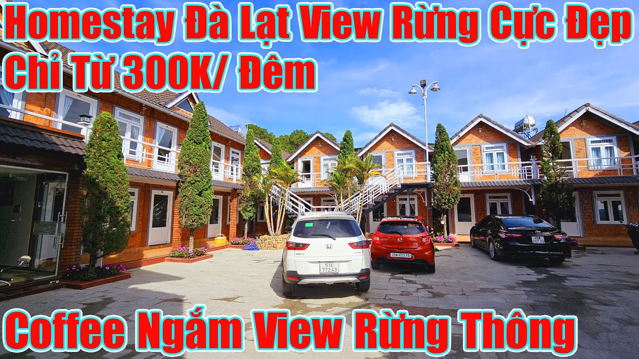 Homestay Và Coffee Đà Lạt View Núi Rừng Cực Đẹp Giá Rẻ