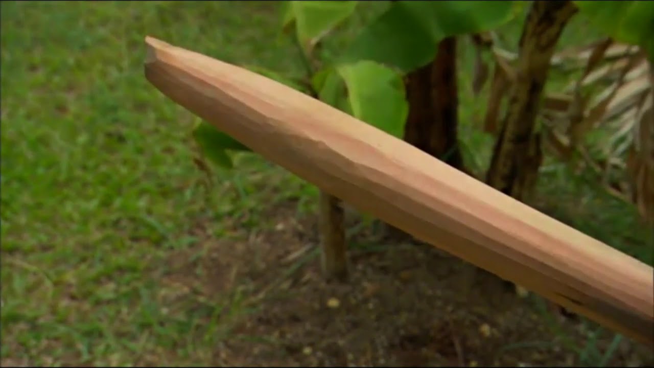 Ray Mears - Making a Wap, Ray Mears Goes Walkabout