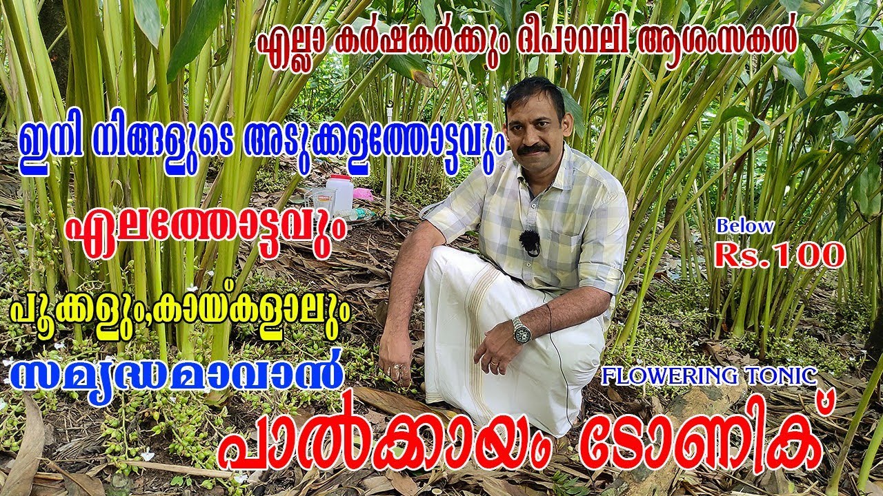 പാൽക്കായം ടോണിക്ക് | HOME MADE FLOWERING TONIC MAKING | പൂക്കൾക്കും, കായ് പിടിക്കുവാനും
