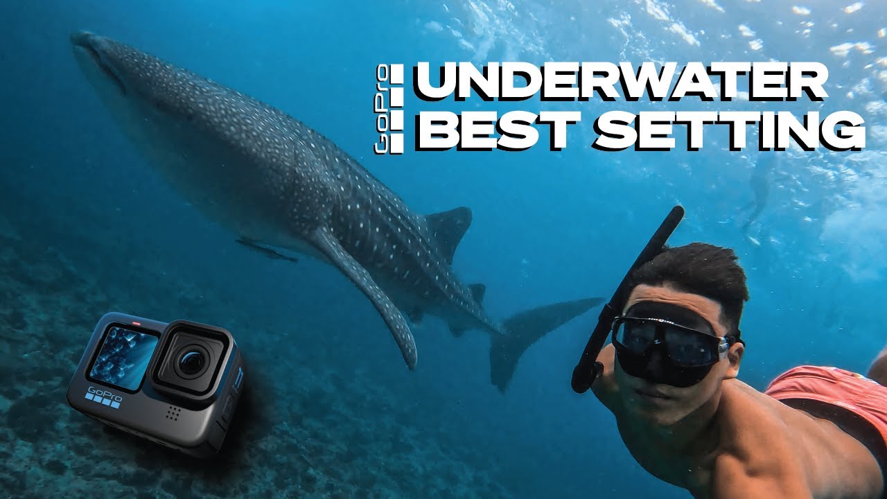 Best GoPro Settings for underwater videography! 5 Quick Tips