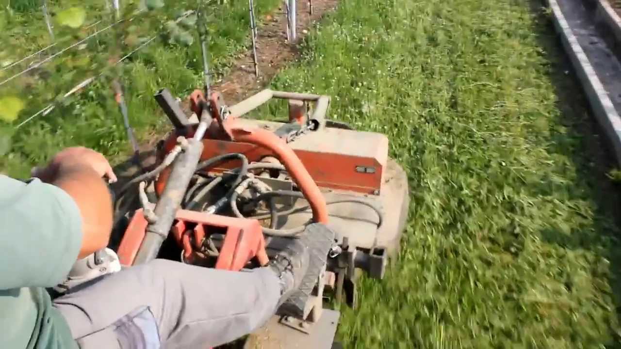 Tracteur &agrave; chenilles LOEFFEL Viti-Plus 95 avec tondeuse
