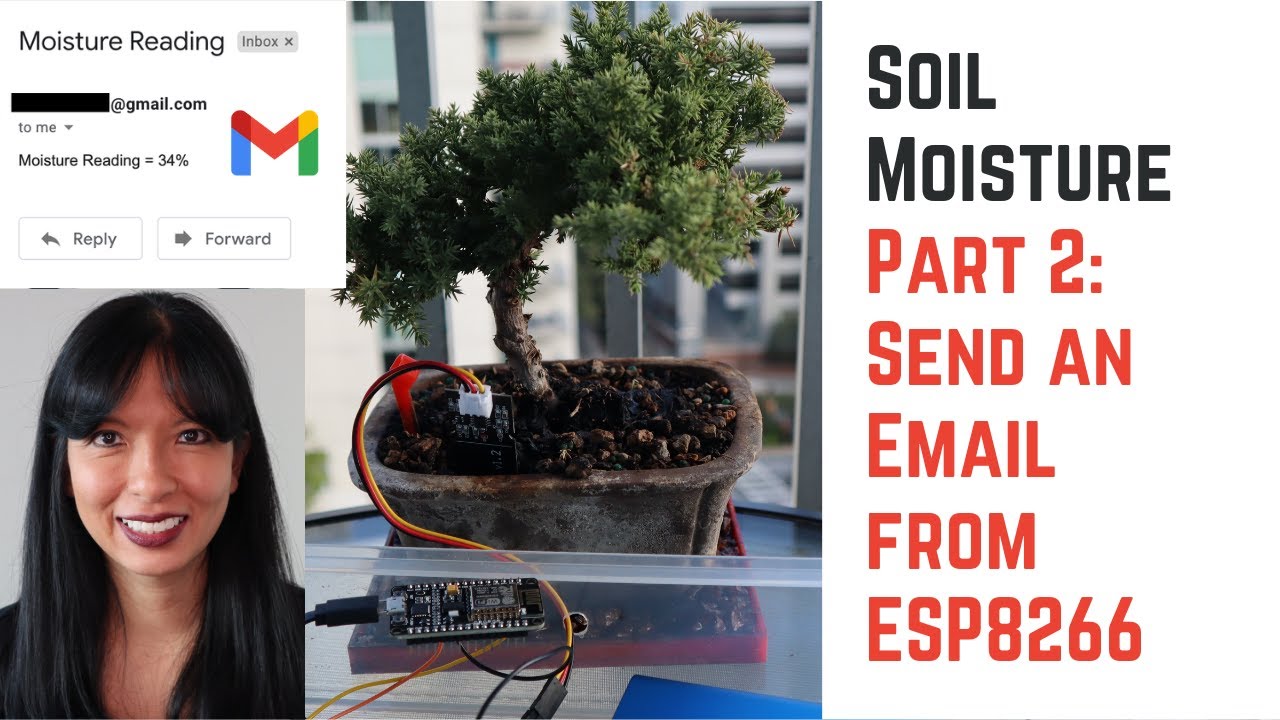 House Plant Monitoring and Watering Part 2: Automated Emails ESP8266