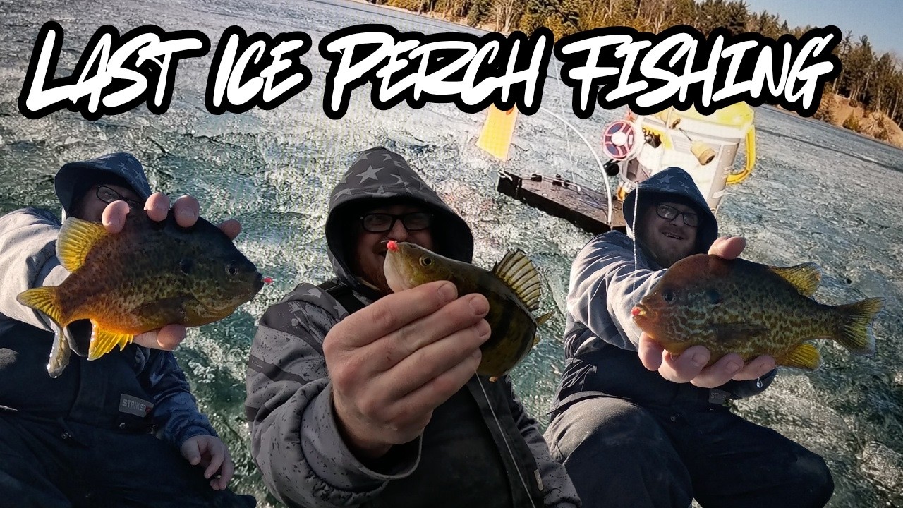 Last Ice Perch Fishing