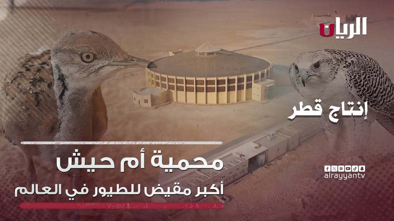 Заповедник Умм-Хиш | Программа производства Катара (Самое большое птичье гнездо в мире)