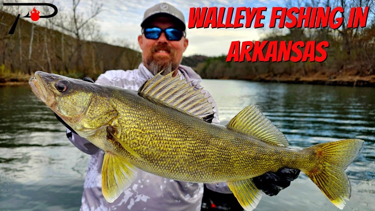 Arkansas Walleye Fishing