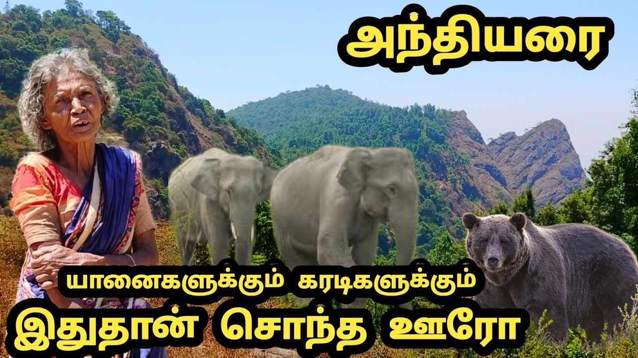 மிக மிக ஆபத்தான மலைசரிவில் யானைகளும் கரடிகளும் அதிகளவில் நடமாடும் காட்டில் அமைந்துள்ள மலைகிராமம்