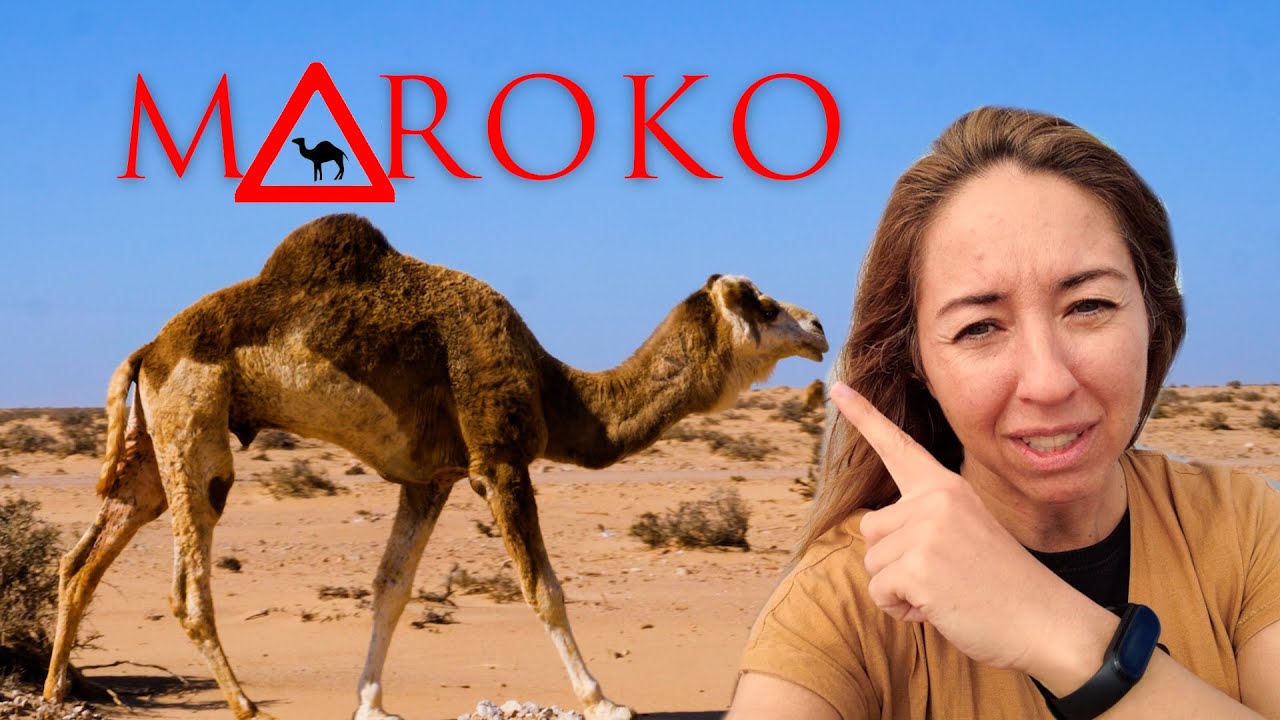 🇲🇦 Południe Maroka, tutaj nikt nie dociera. Tarfaya
