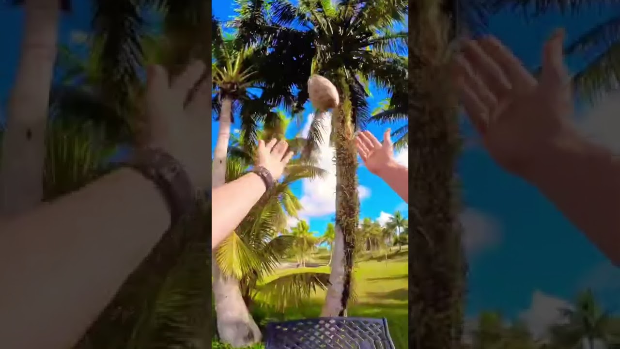 LeoPalace resort in 60 seconds