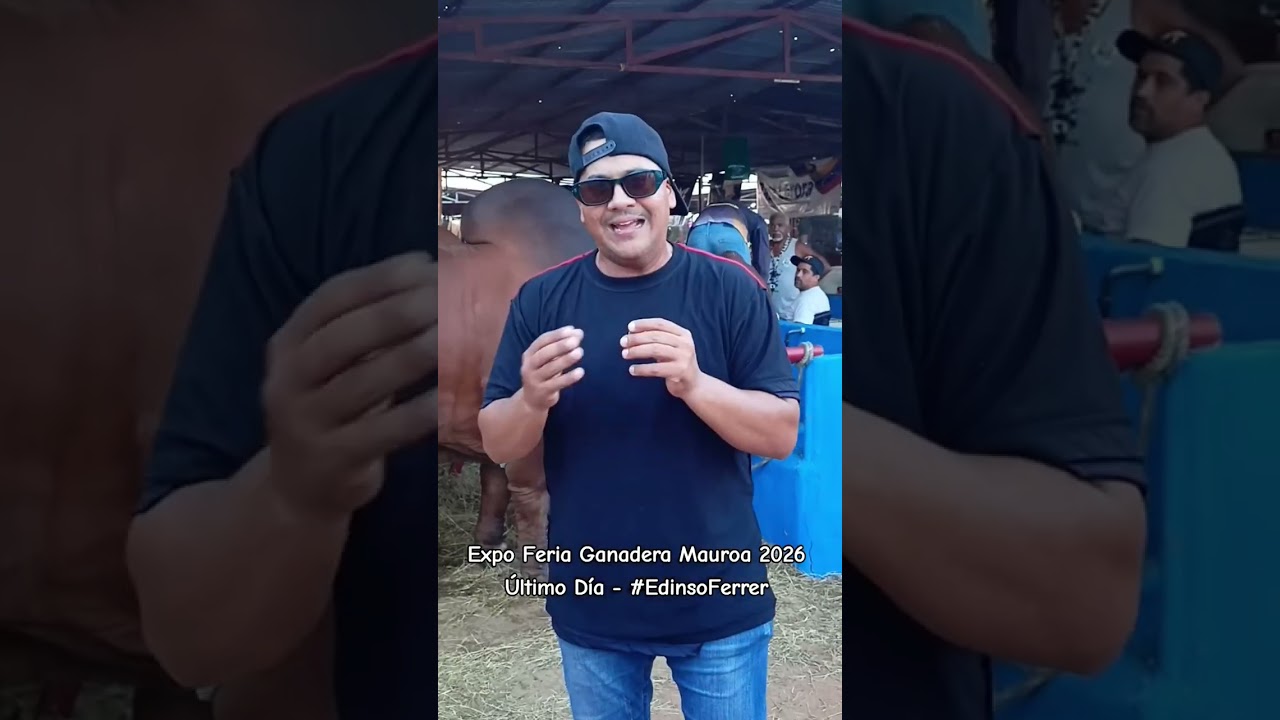 Expo Feria Ganadera Mauroa 2026