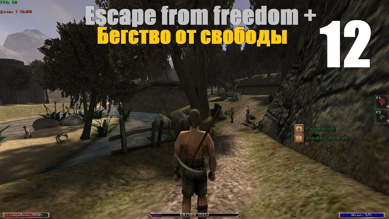 Г1: Бегство от свободы, #12 | Добиваем взятые квесты и идём в замок старого лагеря! #gothic #games
