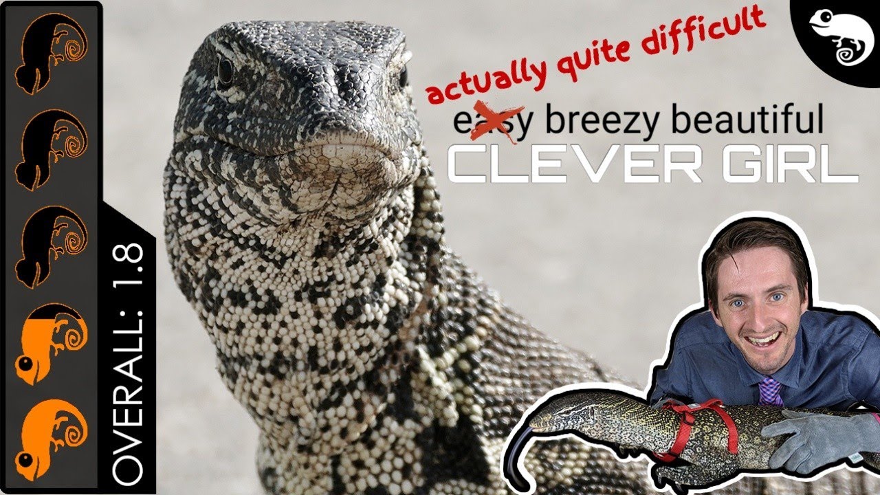 Nile Monitor, The Best Pet Lizard?