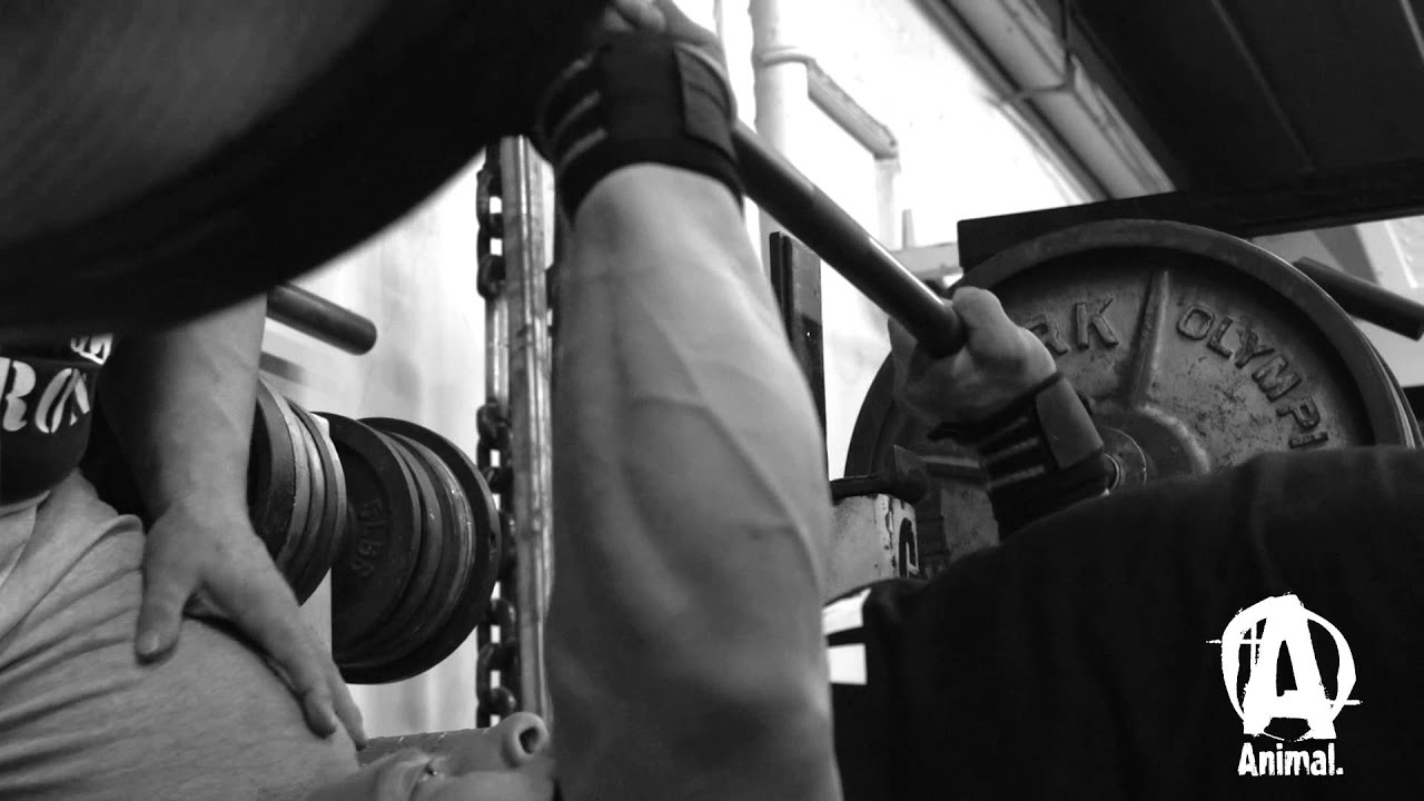 Animal WHEY. Protein Done Right featuring BOSS.