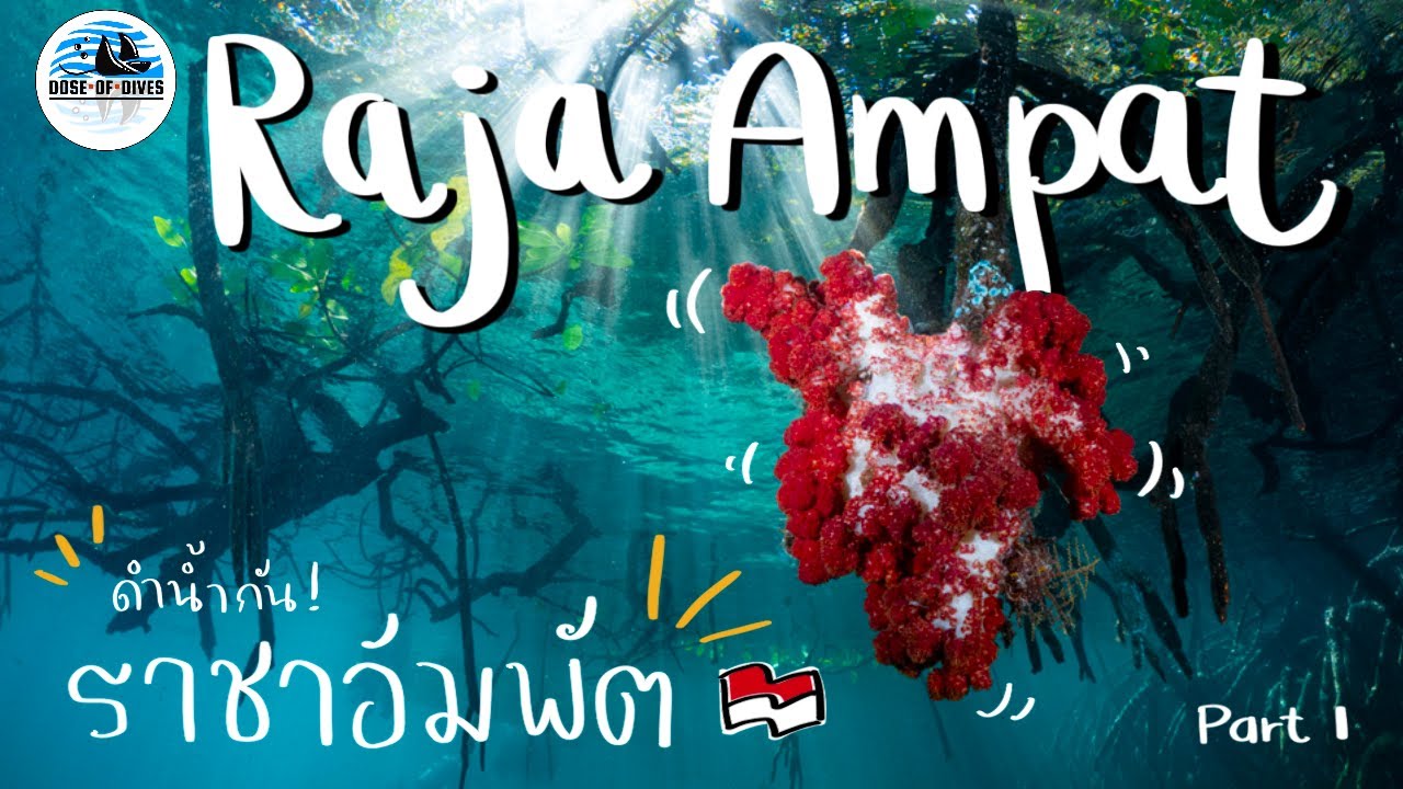 ทริปดำน้ำ ราชาอัมพัต ประเทศอินโดนีเซีย Raja ampat The last paradise : Part 1 l VLOG