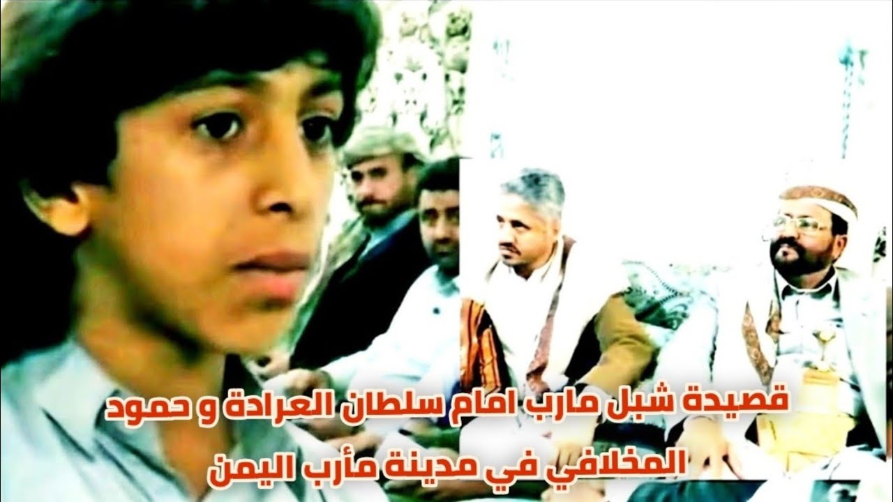 قصيدة شبل مارب امام سلطان العرادة و الشيخ حمود المخلافي في مدينة مارب اليمن