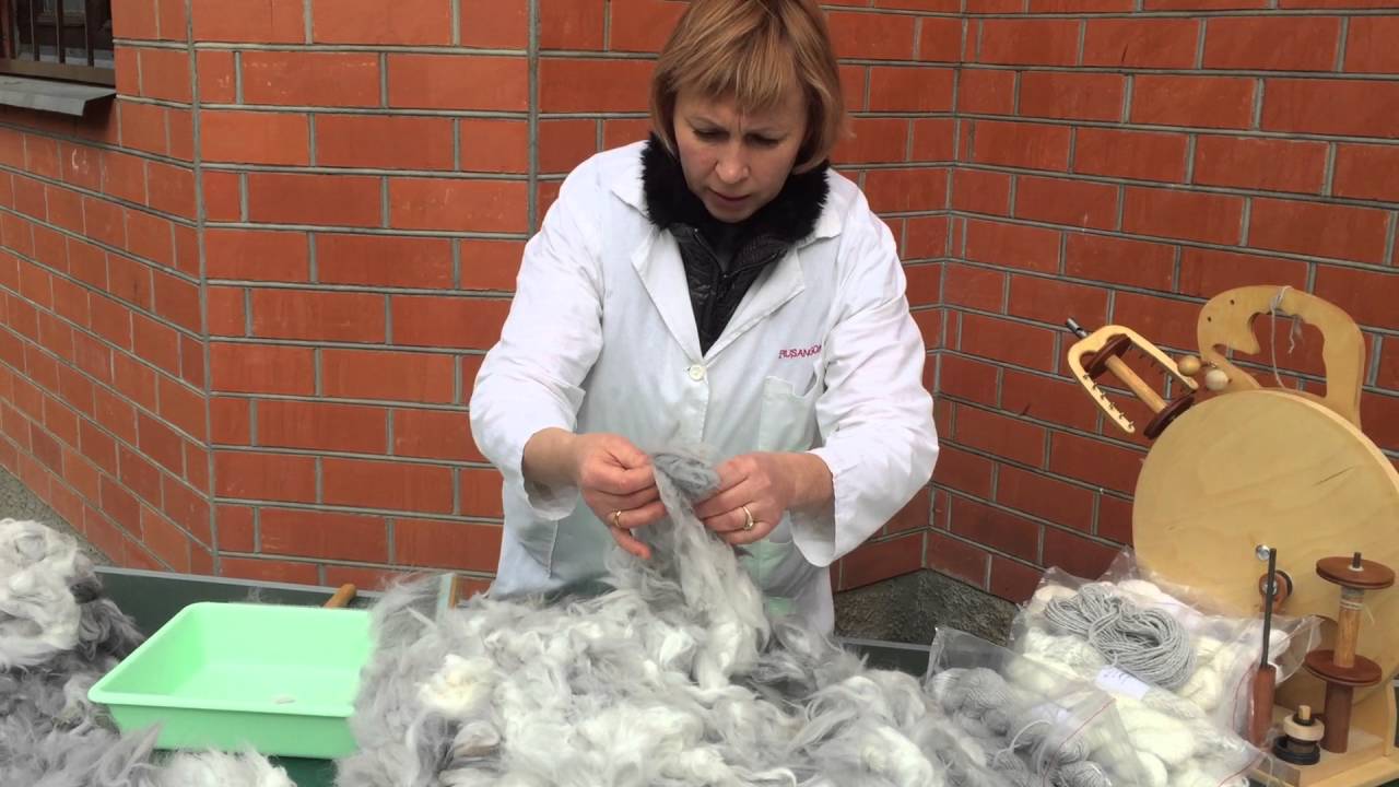 Сортировка шерсти кролика.