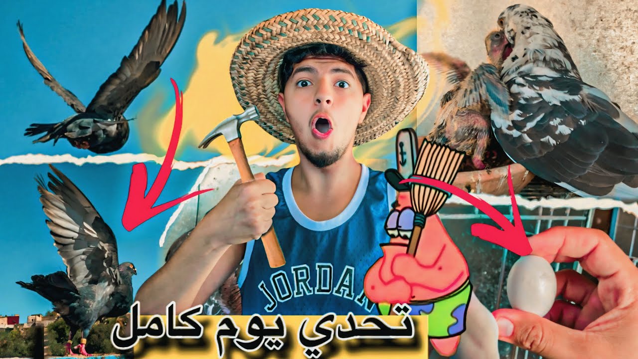 حياة مولع: تحدي عيش يوم كامل مع الحمام 🤯 كفاش كندوز روتين اليومي مع الحمام 🤔يوم ملكي للحمام ❤️