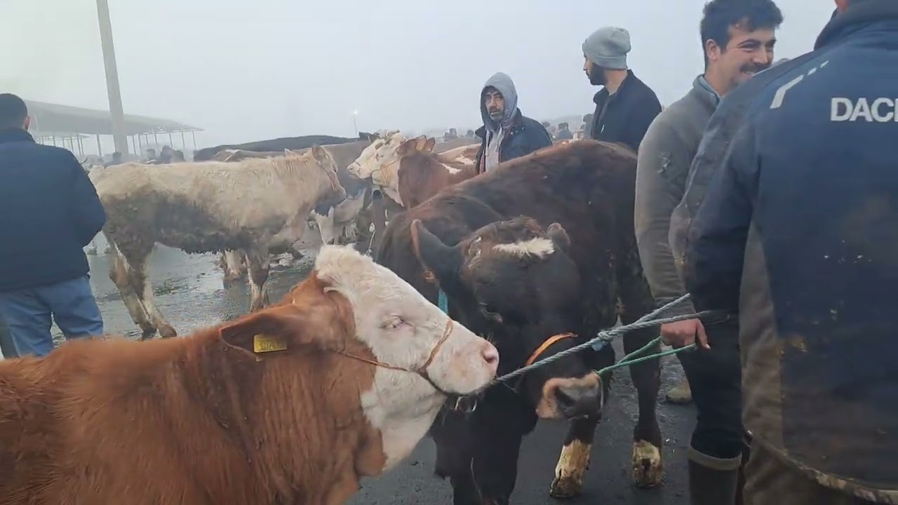 Sivas şarkisla iyi seyirler dilerim 05.04.2025