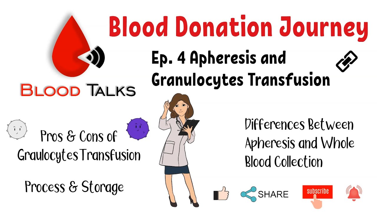 Ep.4. Apheresis and Granulocytes Transfusion| Blood Donation Journey