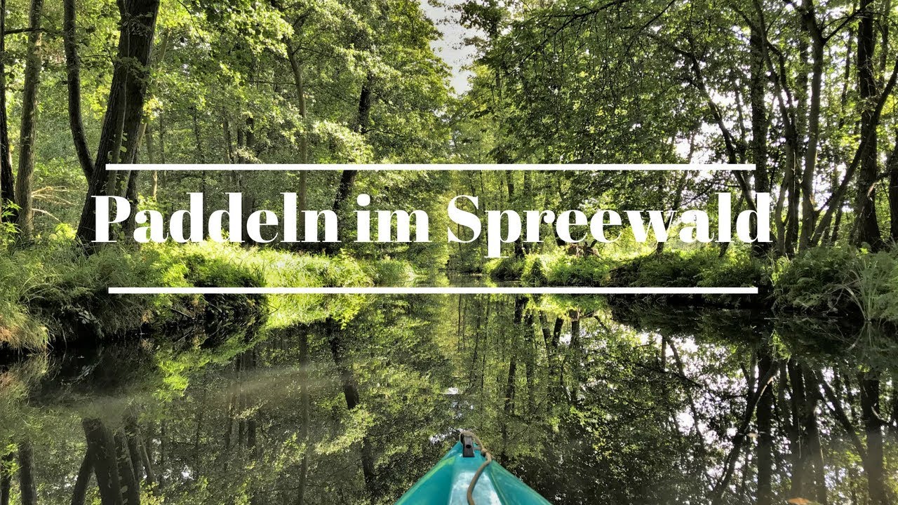 Paddeln im Spreewald 2018