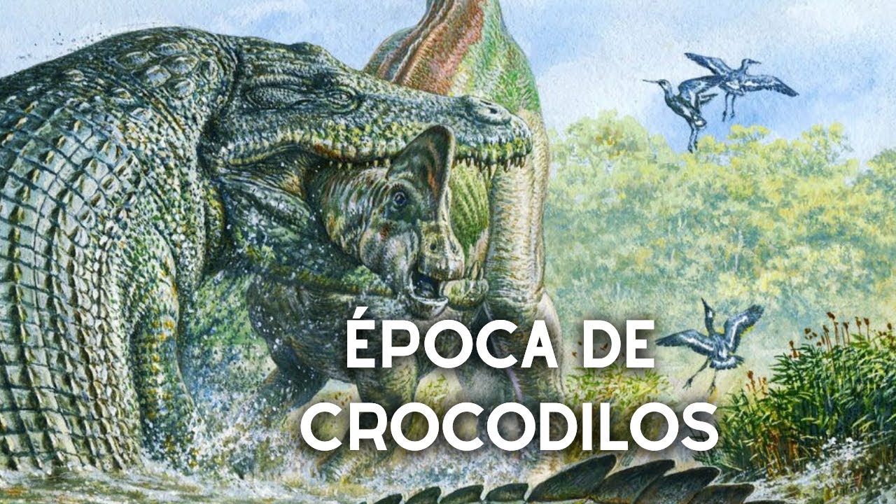 OS 3 MAIORES CROCODILOS E JACARÉS DA PRÉ HISTÓRIA.