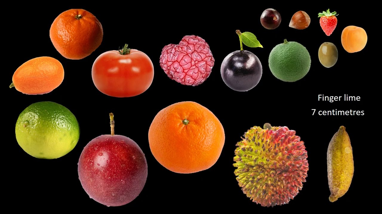 Fruit size comparison